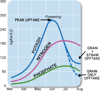 Nutrient uptake of a typical 8t/ha wheat crop