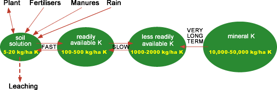 Potassium pathways and soil reserves