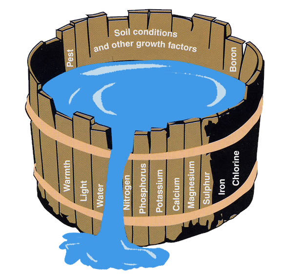 Liebig's barrel illustrating how crop growth is inhibited if one nutrient is in short supply.