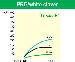 PRG/white clover