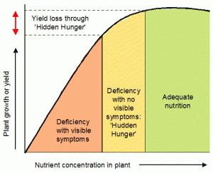 Yield reduction caused by 'hidden hunger' despite there being no apparent deficiency symptoms.