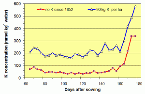 Concentration of K in tissue water during growth of spring barley on K-deficient and non-deficient soils (J.Ag.Sci.Camb. 101, 741-748).