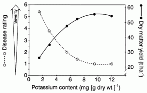Disease Rating, Yield and Potassium content
