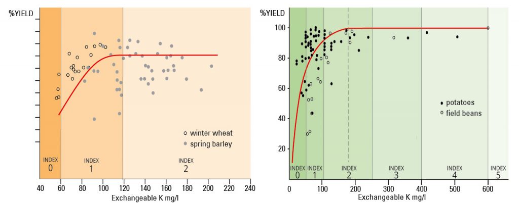 Crop response to soil K