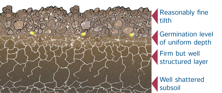 PDA Leaflet 17 Soil Structure