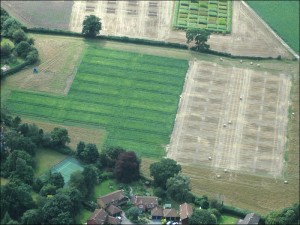 An aerial view of the recent sugar beet trial plots at Rothamsted