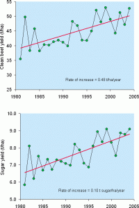 Chart 1: UK Yields of beet and sugar, 1980-2003