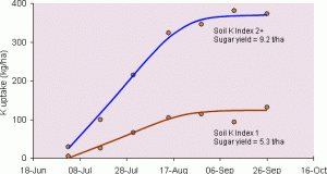 Chart 4: The uptakes of potassium into the sugar beet crop during growth.