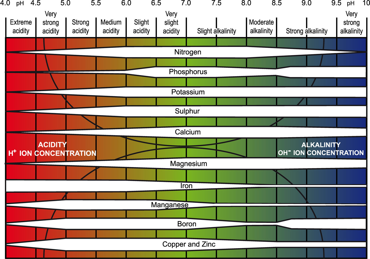 Figure showing availability of plant nutrients by pH levels. Emphasizes how most micronutrients are most available in low pH to neutral soils.
