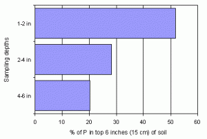 Figure 1: Illustration of the percentage of extractable P found at different depths of a soil which had received only surface cultivations for 10 years.