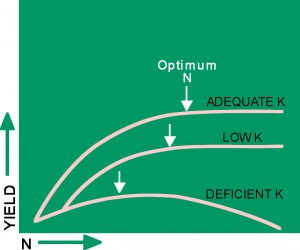 Fig 1: K effect on N response