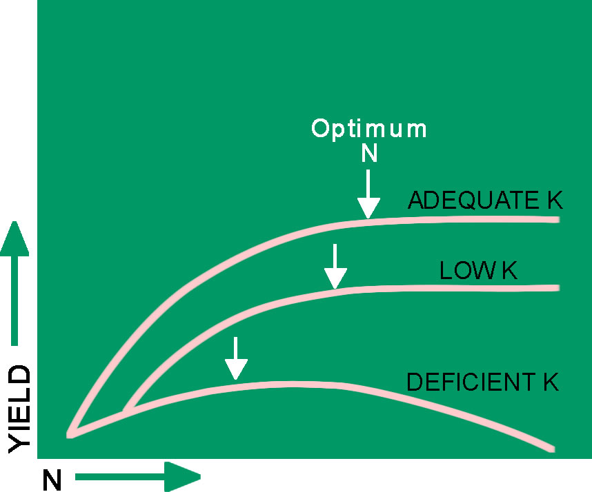 the n and k partnership potash development association pda