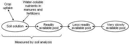 Figure 1: A simple schematic representation of the phosphorus, potassium and magnesium reserves in soil in the pools of differing plant-availability. Note that in fact the pools are of very different sizes, i.e. they contain very different quantities of the nutrient, with these increasing from left to right in the Figure.