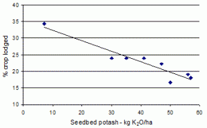 Figure 2: Effect of potash on lodging in winter wheat