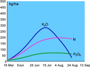 Fig 2: Nutrient uptake of a typical 8 t/ac Wheat Crop
