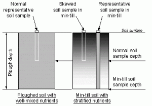 Figure 2: An illustration of the potential for a soil sample to show an over-high value when taken to the standard depth in a field where minimum cultivation has been practiced.