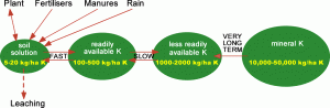 Potassium pathways and soil reserves