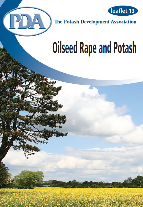 Oilseed Rape and Potash