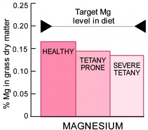 Magnesium content of healthy and tetany prone pasture