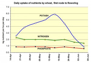 Figure 2: Rate of daily uptake of nitrogen, phosphate and potash by wheat.