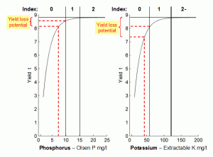 Fitted wheat yield relationship curves for P and K