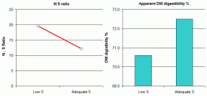 Figure 4: Effect of dietary sulphur on feed digestibility in lactating dairy cows.