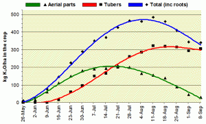 Figure 4: Pattern and distribution of uptake of potassium by potatoes.