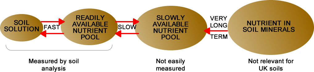 nutrient-reserves-in-soil.jpg