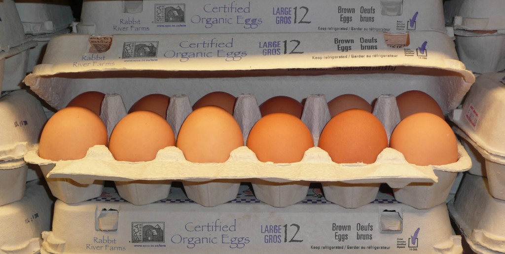 organic eggs