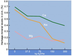 Effect of Potash on the mineral content of ryegrass
