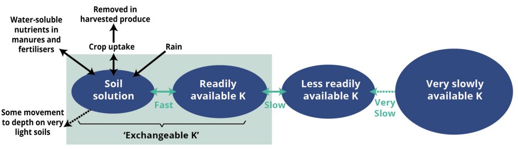 Simplified Potash Cycle for organic growers