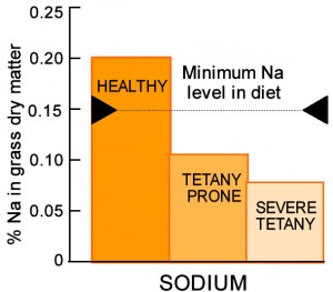 Sodium content of healthy and tetany prone pasture