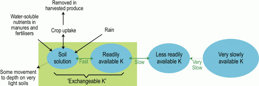 Simplified potash cycle