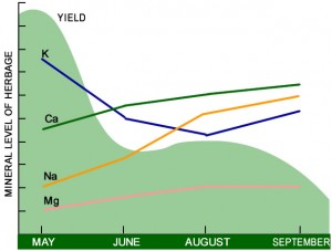 Seasonal pattern of mineral uptake in grass swards