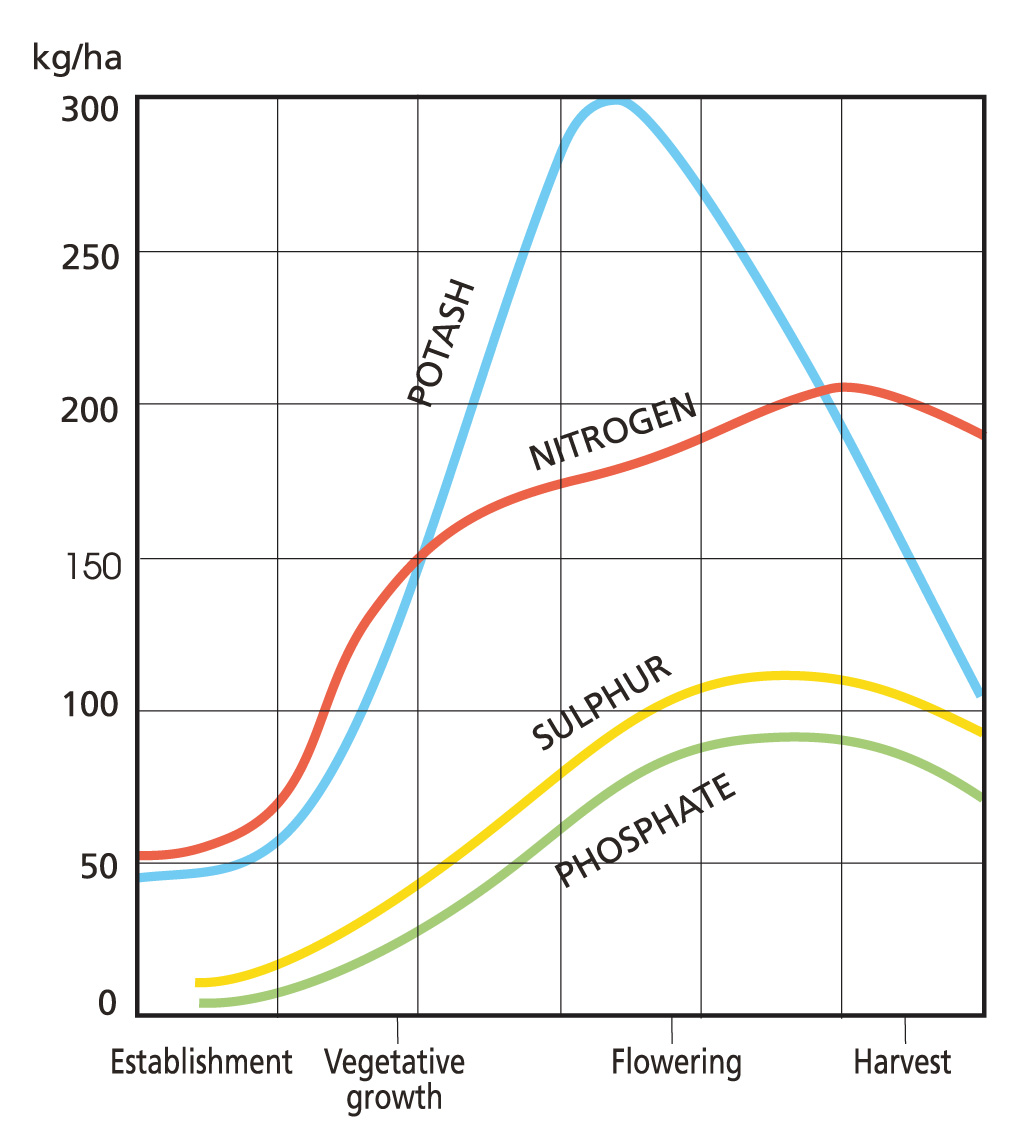 typical uptake for cereal