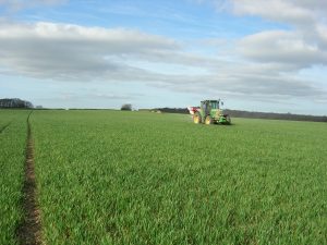 Top dressing