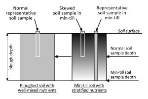 Fig 2: An illustration of the potential for a soil sample to show an over-high value when taken to the standard depth in a field where minimum cultivation has been practised.