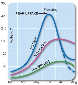 Typical potash uptake for an 8t/ha wheat crop