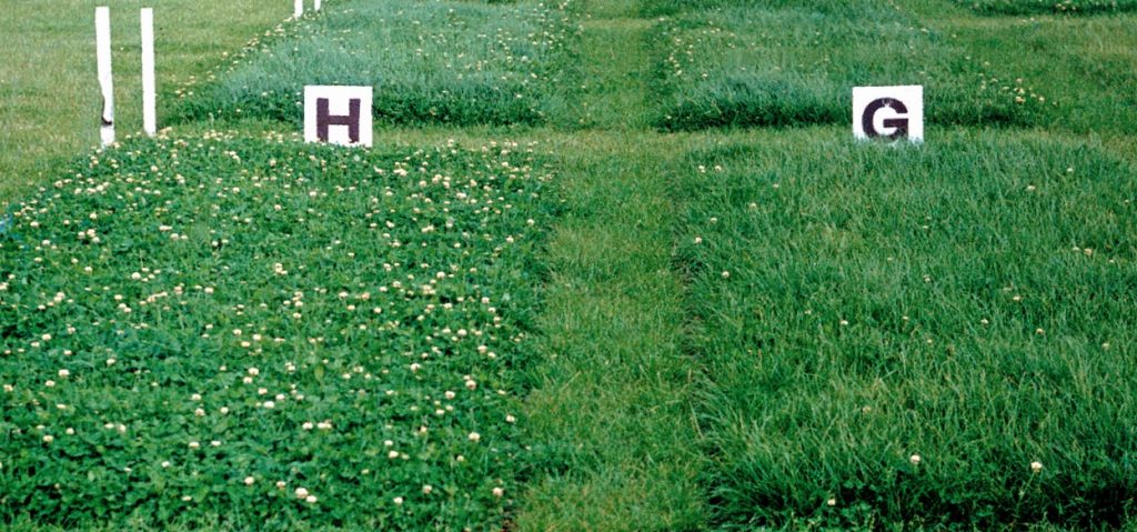Potash treatments were applied to plots in 1987, 1988, 1989 and 1990