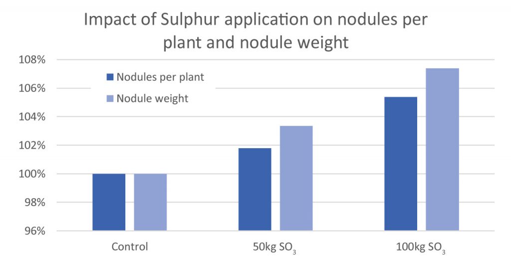 Impact of sulphur application on nodules per plant and nodule weight