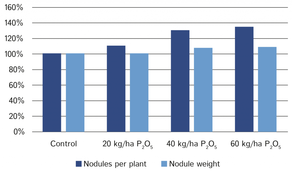 Impact of phosphate application on nodules per plant and nodule weight.