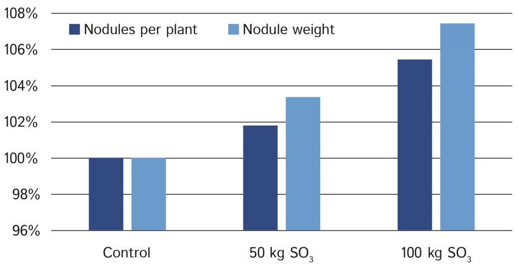 Impact of sulphur application on nodules per plant and nodule weight.