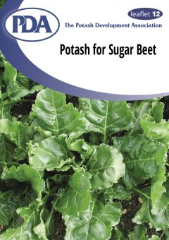 PDA Leaflet 12: Sugar Beet