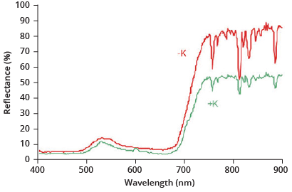 Figure 2. Reflectance spectra for wheat (Triticum aestivum L.) without K (K) and with K (+K), and all other nutrients at sufficient levels. (adapted from Ayala-Silva and Beyl 2005)